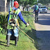  La Municipalidad trabaja en el embellecimiento de   diferentes espacios verdes de la ciudad