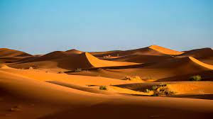 Sustainability in the Desert