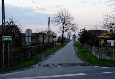 Zdjęcie: