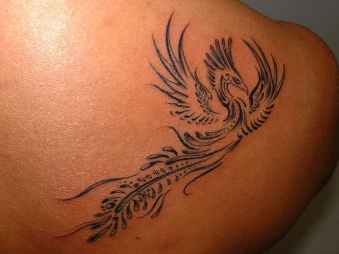 Tattoo - Tatuaje artistico dibujo personalizado - tattoo ave fenix