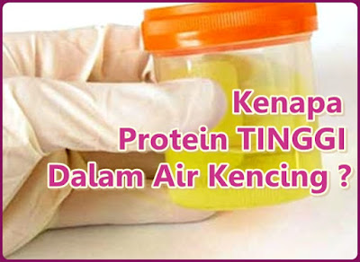 kenapa ada protein dalam urin