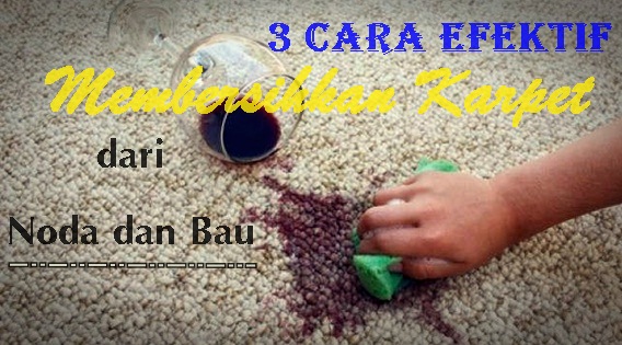  3 Cara Efektif Membersihkan Karpet dari Noda dan Bau