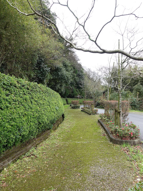 上淀廃寺跡の遊歩道