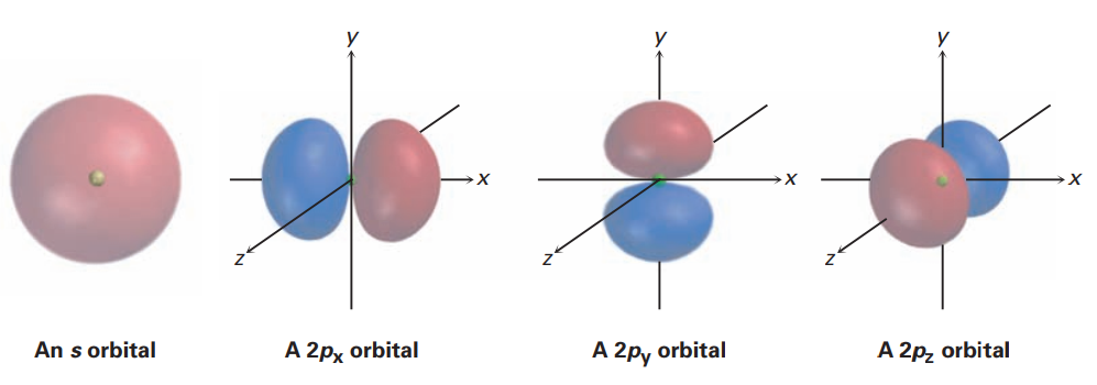 Representations of s and p orbitals. An s orbital  is spherical, while a p orbital is