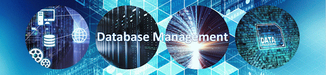 Database Management