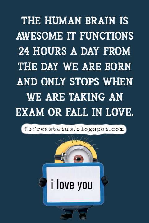 Quotes Funny About Love And Funny Memes About Love