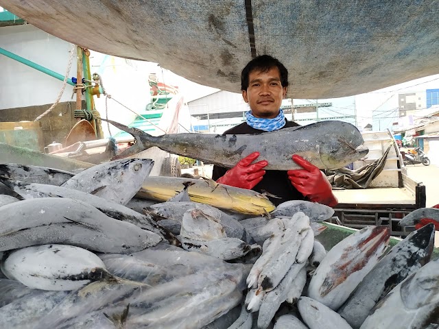 Pengurusan Surat Ijin Penangkapan Ikan Tidak Dikenakan Biaya 