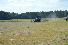hay2 011