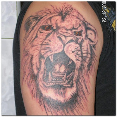 Lion Tattoos and Tattoo Designs Pictures Gallery 9