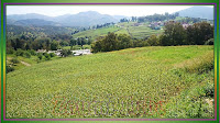 ،قيادة زومي،قرية زومي،منطقة جبالة،جبالة،مناظر الطبيعة،zoumi,centre zoumi,zoumi centre,zoumi region,region zoumi,jbala zoumi,zoumi jbala,photos de zoumi,zoumi photos,photo zoumi,region ouazzane,region wazzane,wazzane region,province ouazzanz,ouazzane province,زومي,مركز زومي,منطقة زومي,زومي جبالة,جبالة زومي,صور زومي,اقليم وزان,جماعة زومي,معرض صور زومي,زومي القريةٌرية زومي,طريق شفشاون,شمال المغرب,jbala,paysages,landscapes