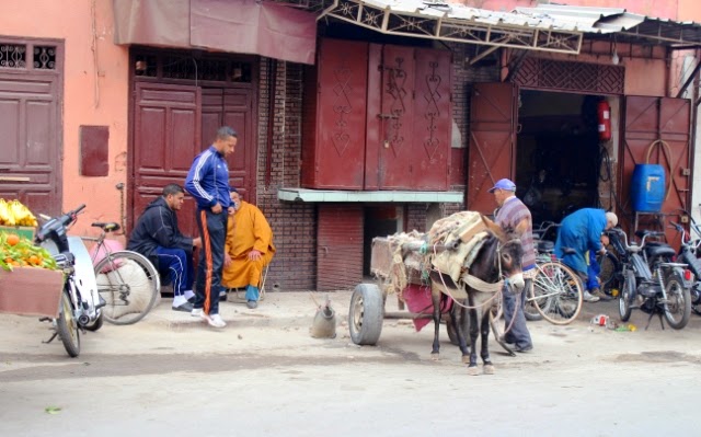 Wandering the medina in Marrakech