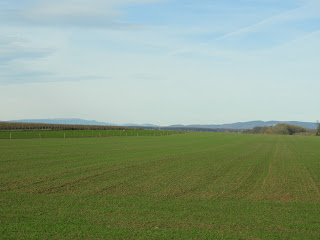 Távolban a Kőszegi-hegység