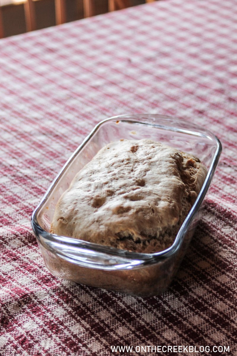 I Made Reddit Peanut Butter Bread! | On The Creek Blog