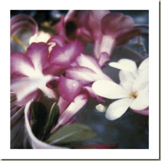 floral art