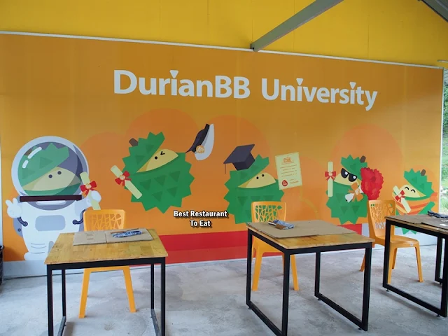 DurianBB University - Raub Pahang Durian Farm Education Tour 