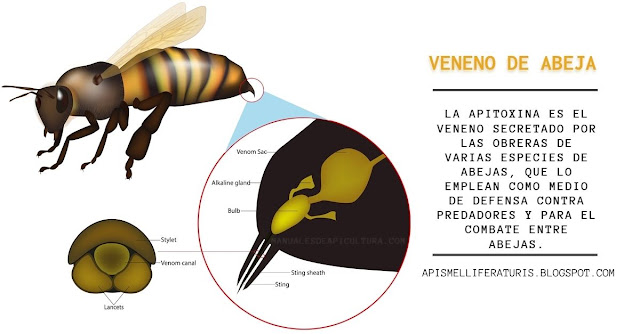 Veneno de abeja