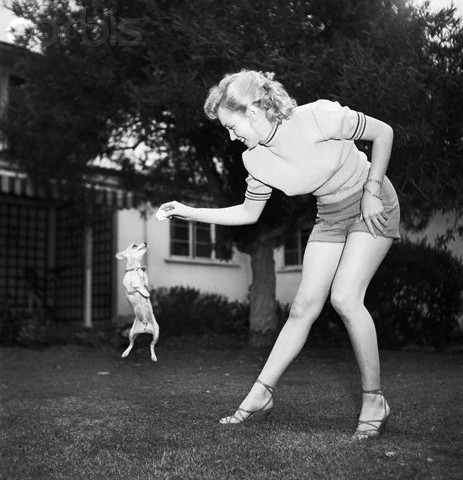 Marilyn Monroe Chihuahua