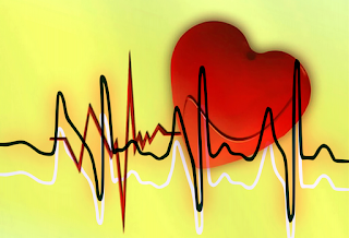 5 Fakta seputar Penyakit Jantung