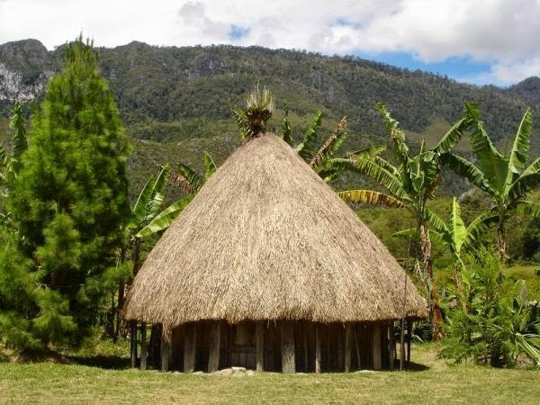 Rumah Adat : Rumah Honai.