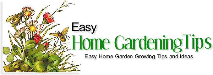 Easy Home Gardening Tips