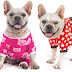 Price : $15.18 ($7.59 / Count) Cute Bone Warm Dog Pajamas 2 Pack Cute Onesie for Medium Sized Dogs Boys&Girls Puppy Clothes