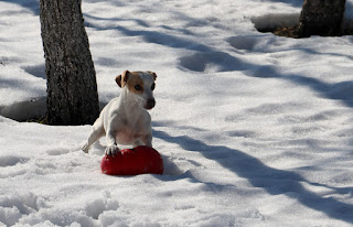 Thelma has Rambo's huuuuuge kong