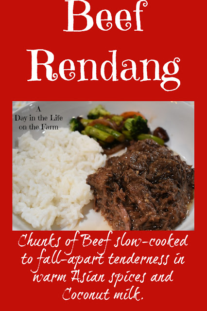 Beef Rendang pin