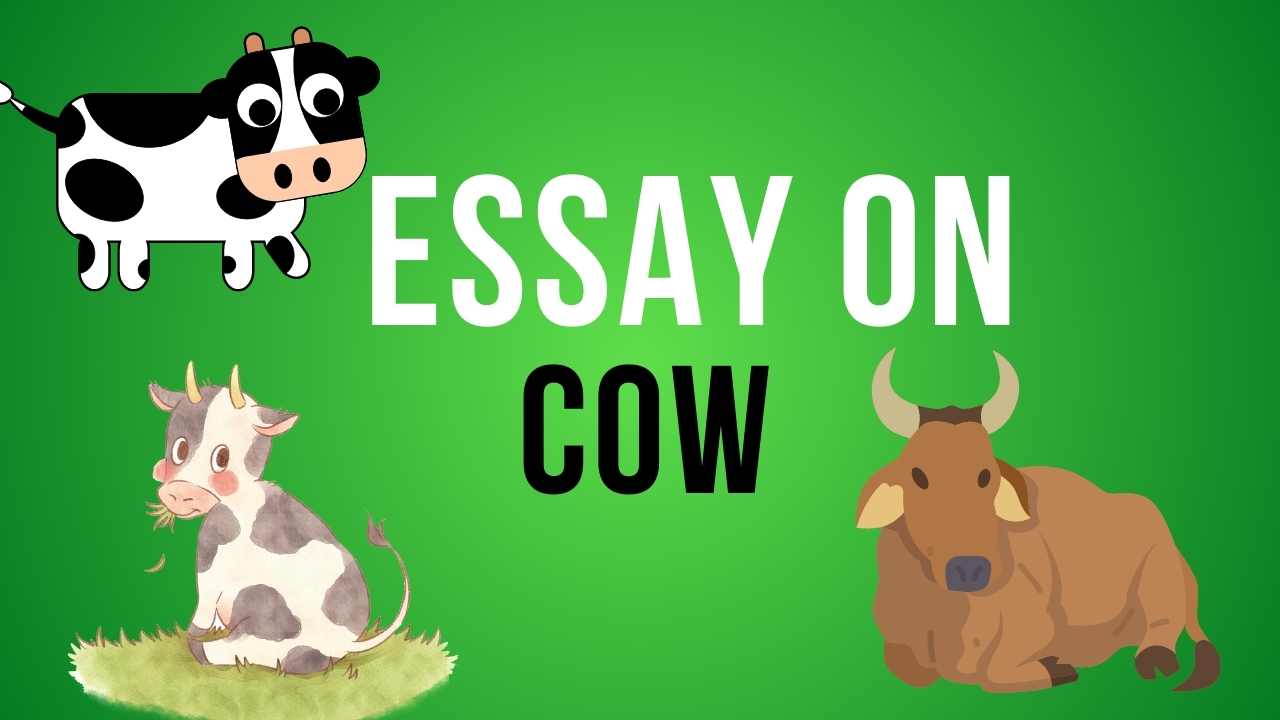 the cow essay class 3