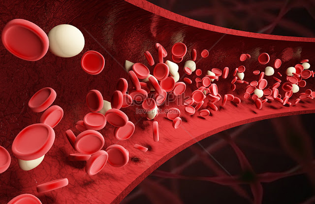 How to increase platelets naturally?