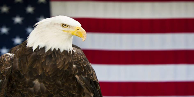 The bald eagle appears on which country's currency?