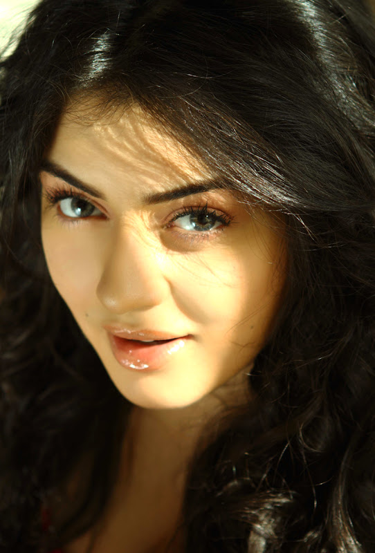 Hansika Latest Hot Photos Gallery hot images