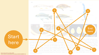 Multi-panel journal figure with overlay showing reading pathway back and forth from text to figure and back to text.