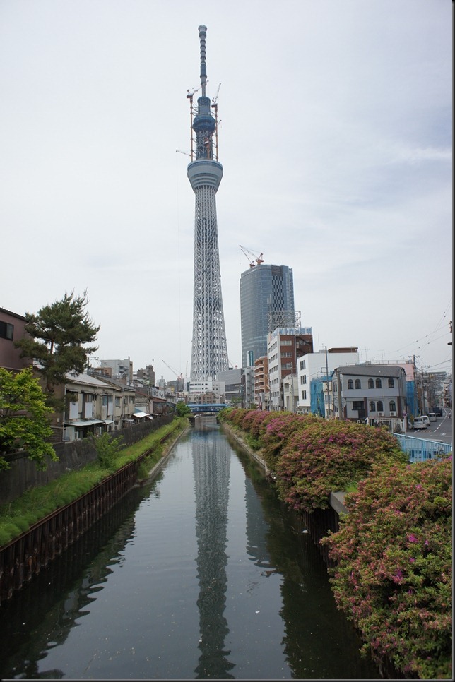 DSC00291