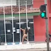 VÍDEO: EM MANAUS, MULHER FAZ POLE DANCE NUA EM FRENTE AO 14º DIP NA ZONA LESTE