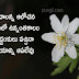 Telugu Quotes On How TO Get success Vijayam Quotes
