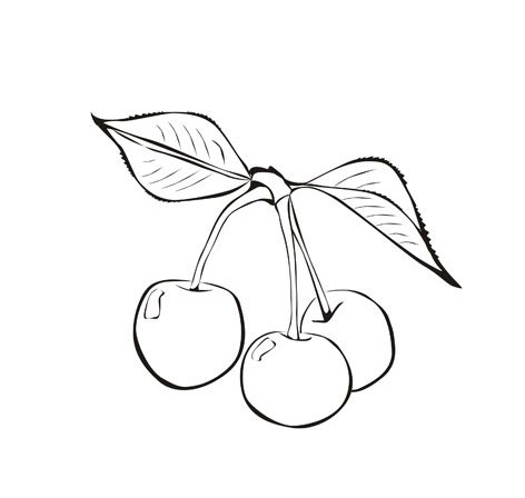 Download Cherry Pluras / Cherries Coloring Pages Ideas | Learn To Coloring