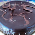 TARTA SACHER