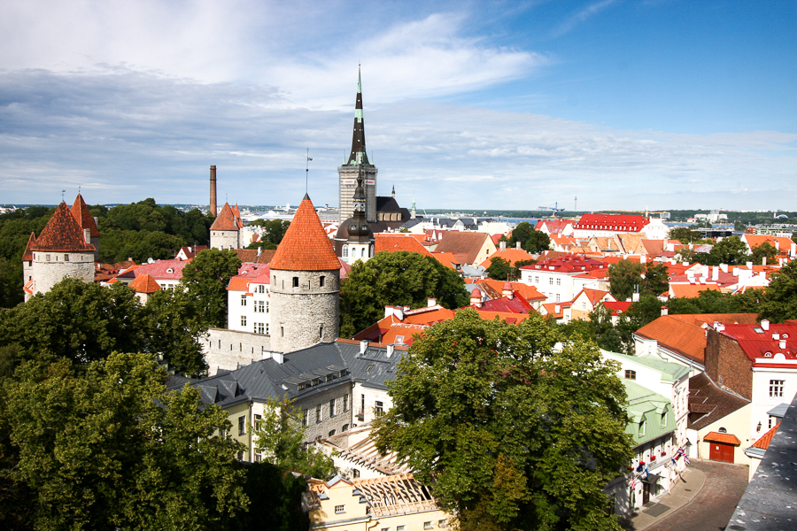 Tallin panorama ze Starówki
