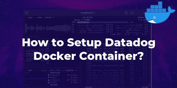 How to Setup Datadog Docker Container?