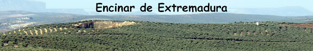 Enxcinas de Extremadura