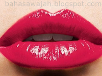 Macam Macam Bentuk Bibir Dan Warna Lipstik Yang Cocok