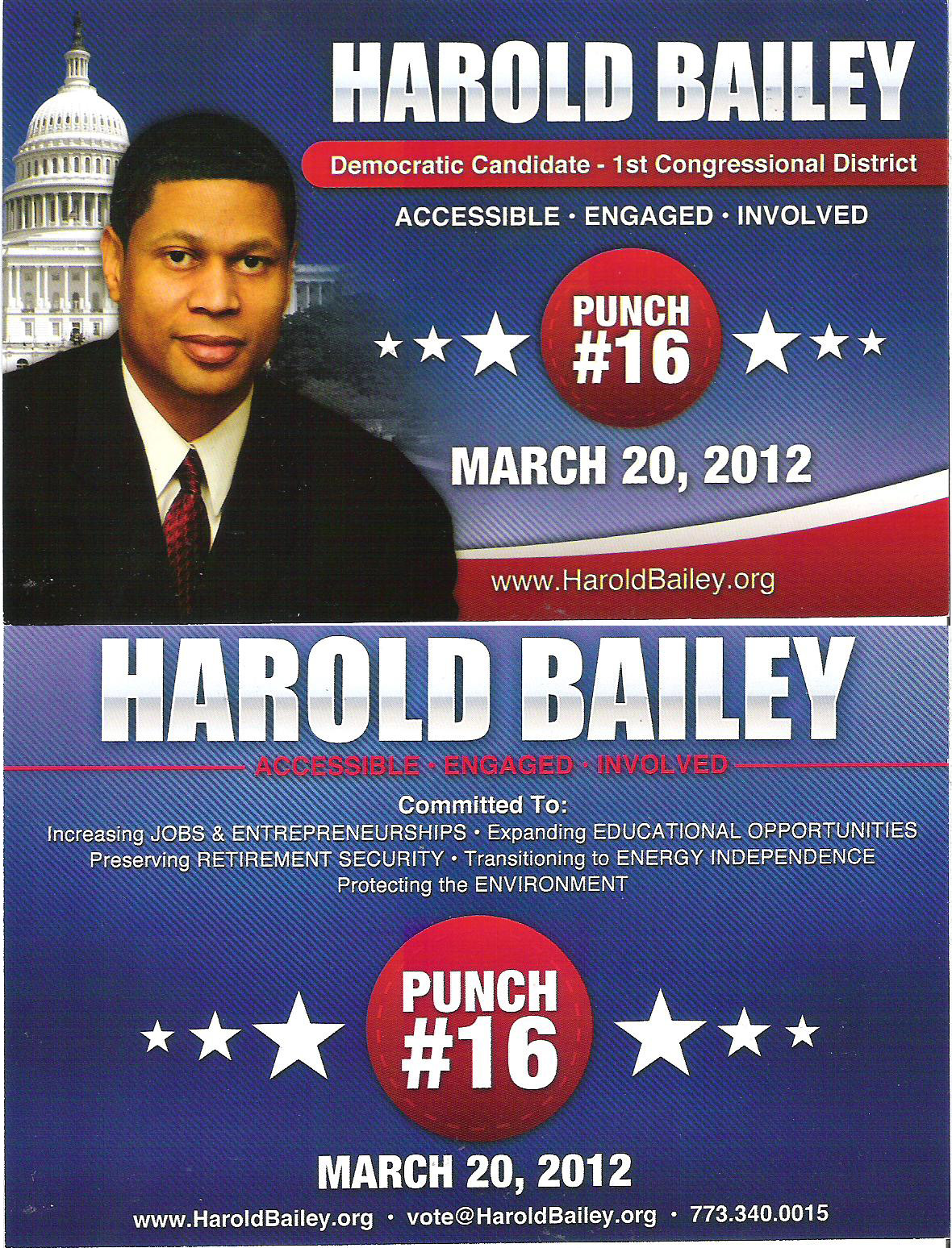 The Sixth Ward Congressional Campaign Flyer