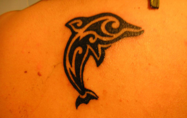 Dolphin Tattoos