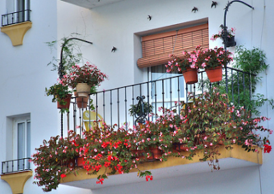 Florist balcony decorating ideas