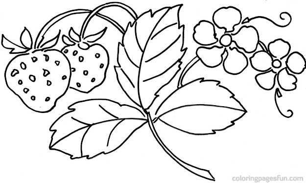 Best Flower Coloring Sheets With Flowers Pages