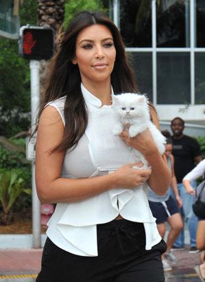  Kardashian  on Kim Kardashian S Now A Mom     To A Cat  The Reality Star Adopted A