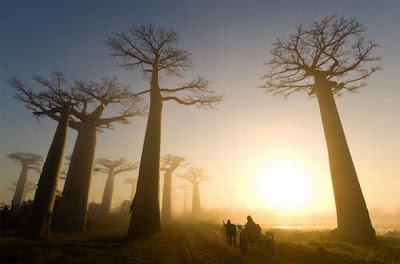 National Geographic Unique Moments