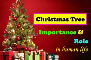 Christmas tree – its importance and role