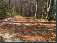 DSCN5489