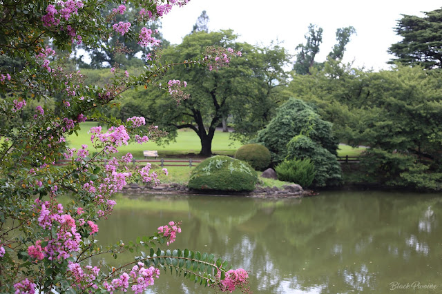 shinjuku-park